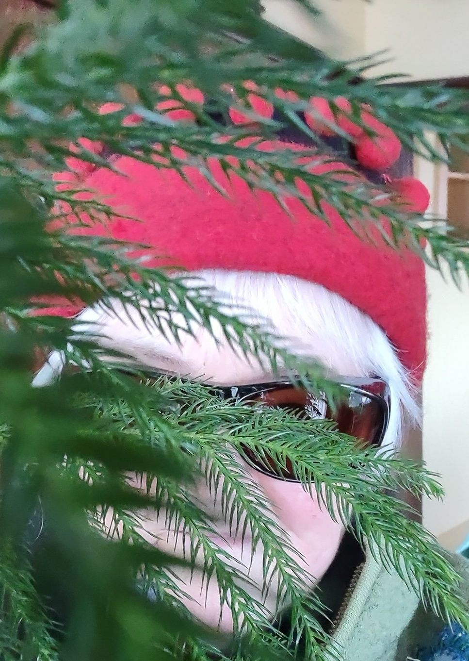 Headshot E. Dasisman